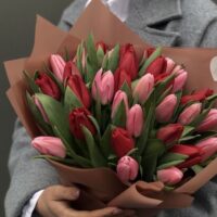 Букет"Алые тюльпаны "31шт
