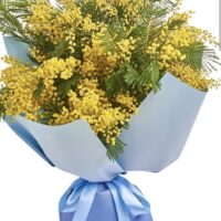 Букет "Мимоза "